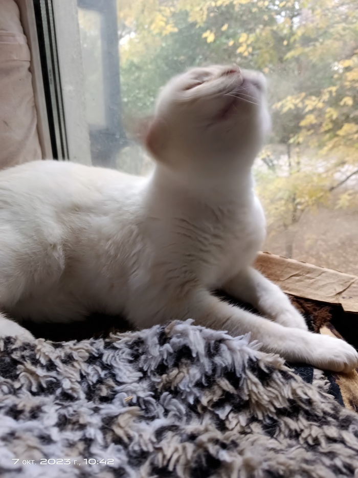 Пока мылся, даже язык сломался