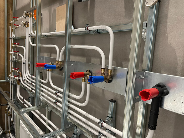 ���� ������