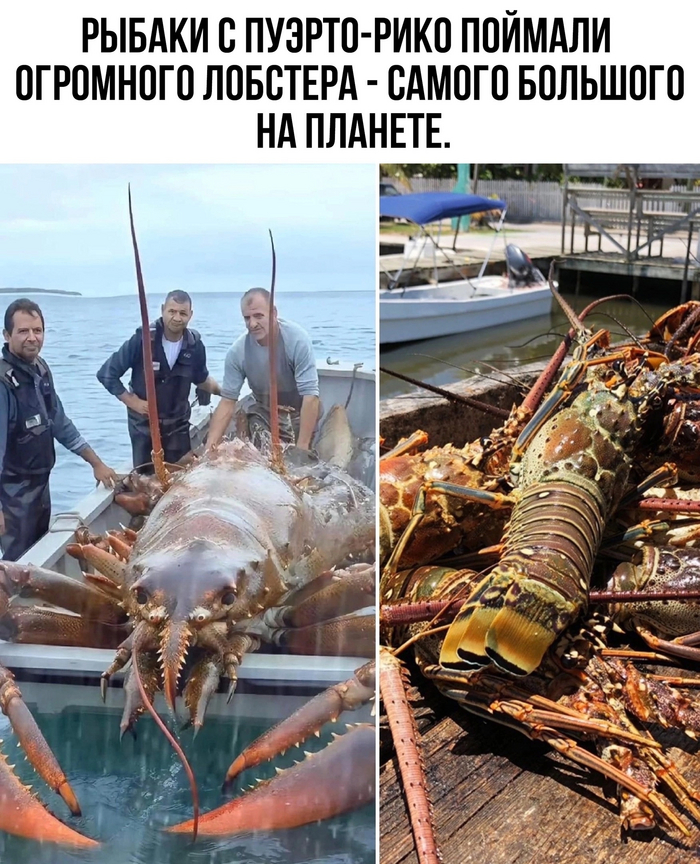 Фотошоп, фейк или правда ???