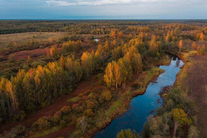 Над золотой осенью | Пикабу