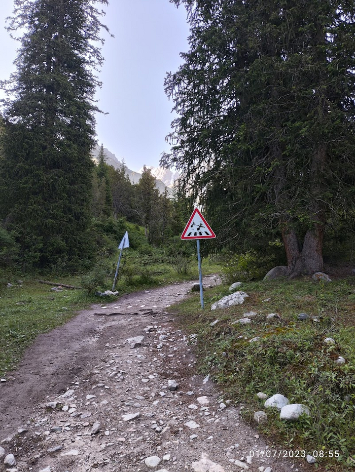 Все верно, "зебра" для муравьев)