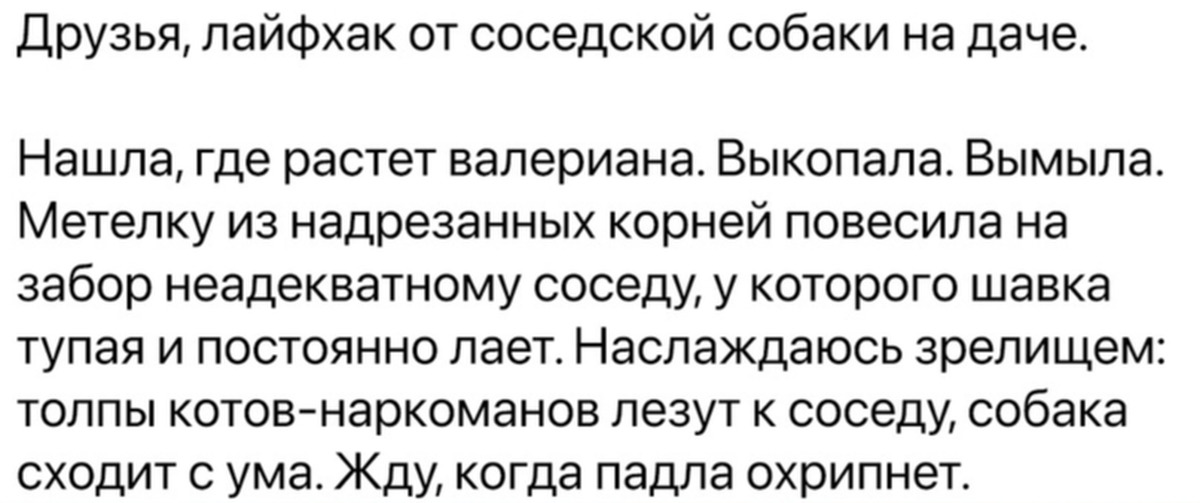 Сонник Соседский Кот