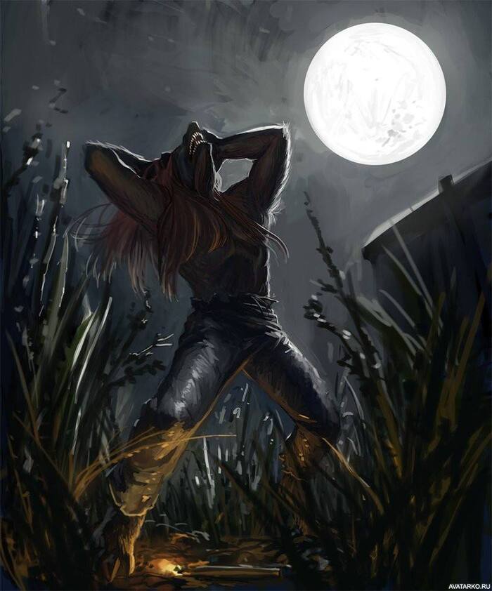   7-  2023 . -        - .