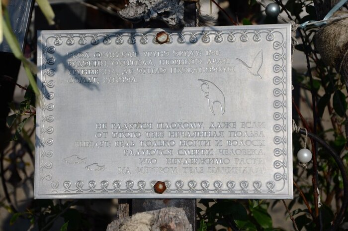   ,        :        ,       .