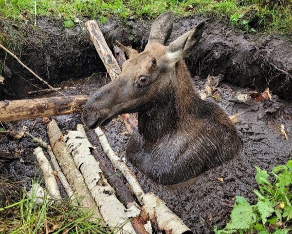 ��� ��� ������ ��� �����