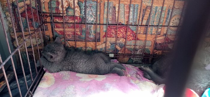 ���� � �����...