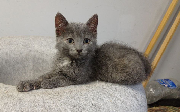 ��� ��� ������ ����������, ��� ��� ������ � �������� � ���