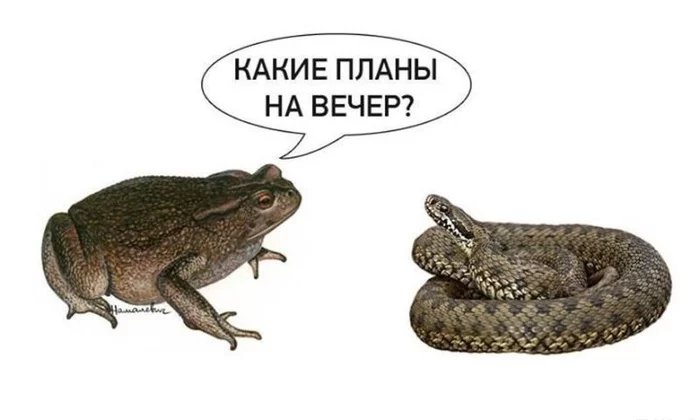 1696885514179557422.webp