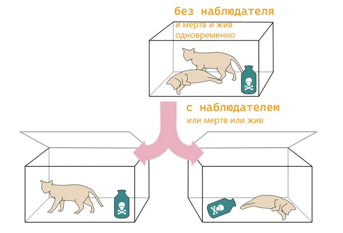 �������������� �������������