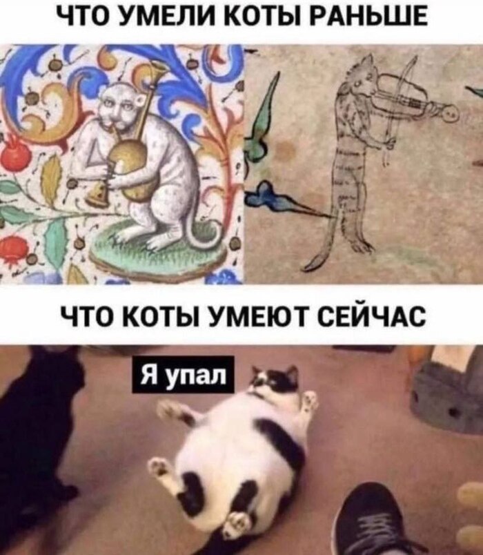  , , ,   , 