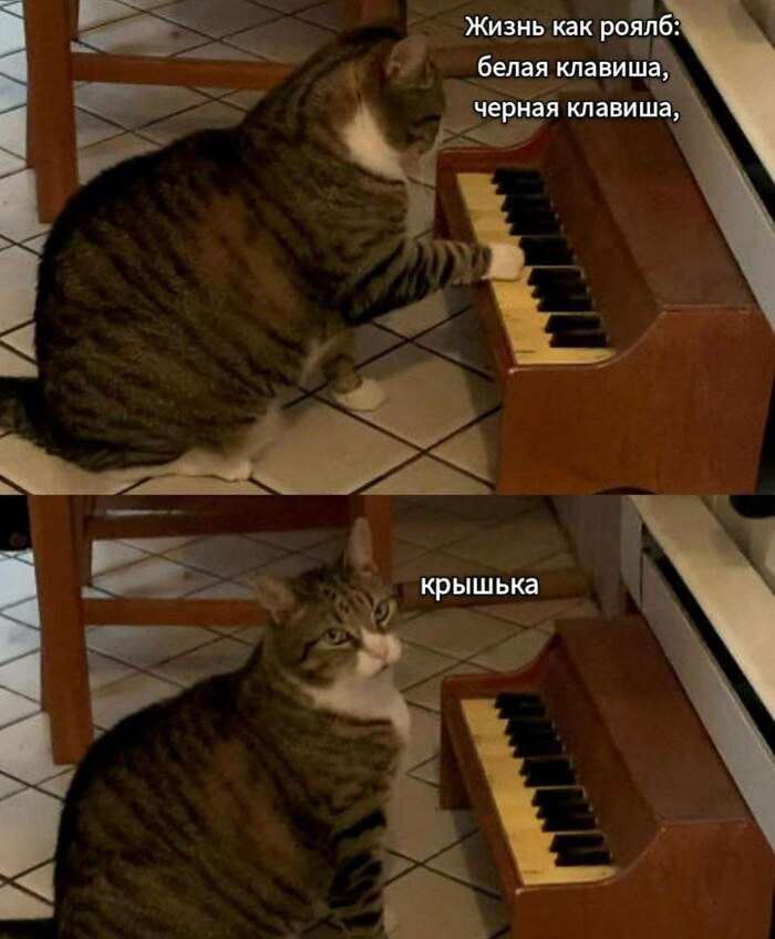  , ,  ,   