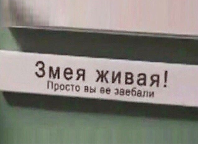 Когда отсидел все пары: