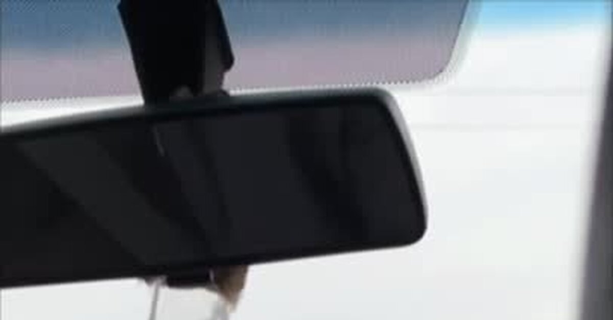 Аквариум вместо аромика у таксиста в Сургуте | Пикабу