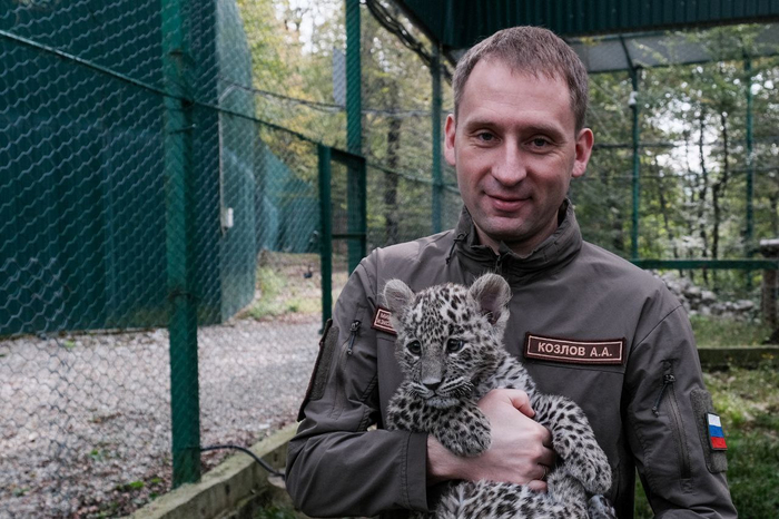 В надёжных руках Александра Александровича Козлова, министра природных ресурсов и экологии России