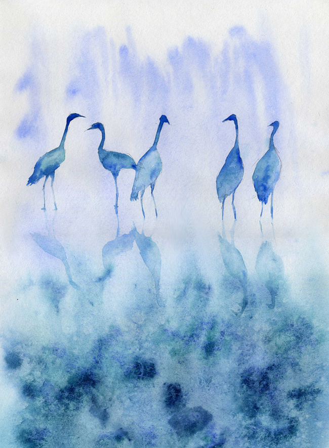 �������� �3