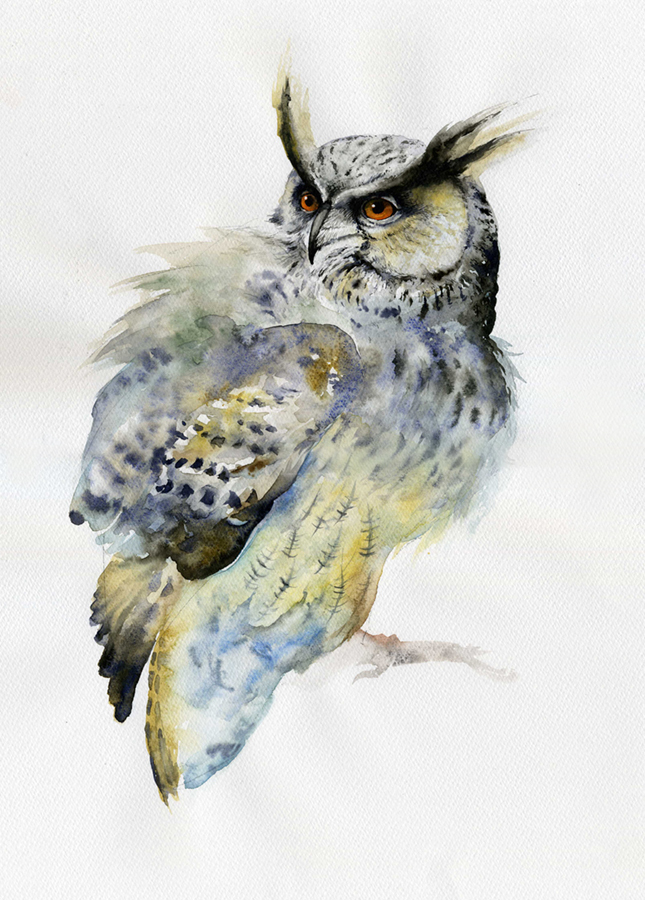 �������� �3