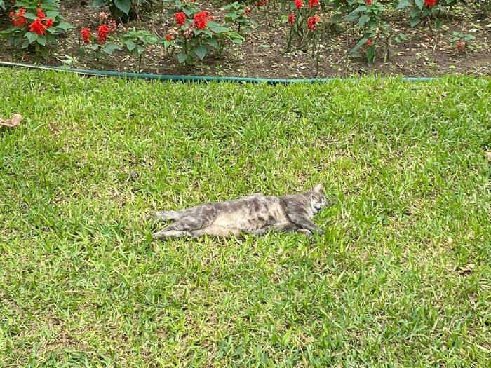     (Kennedy park)  ,    .     -       