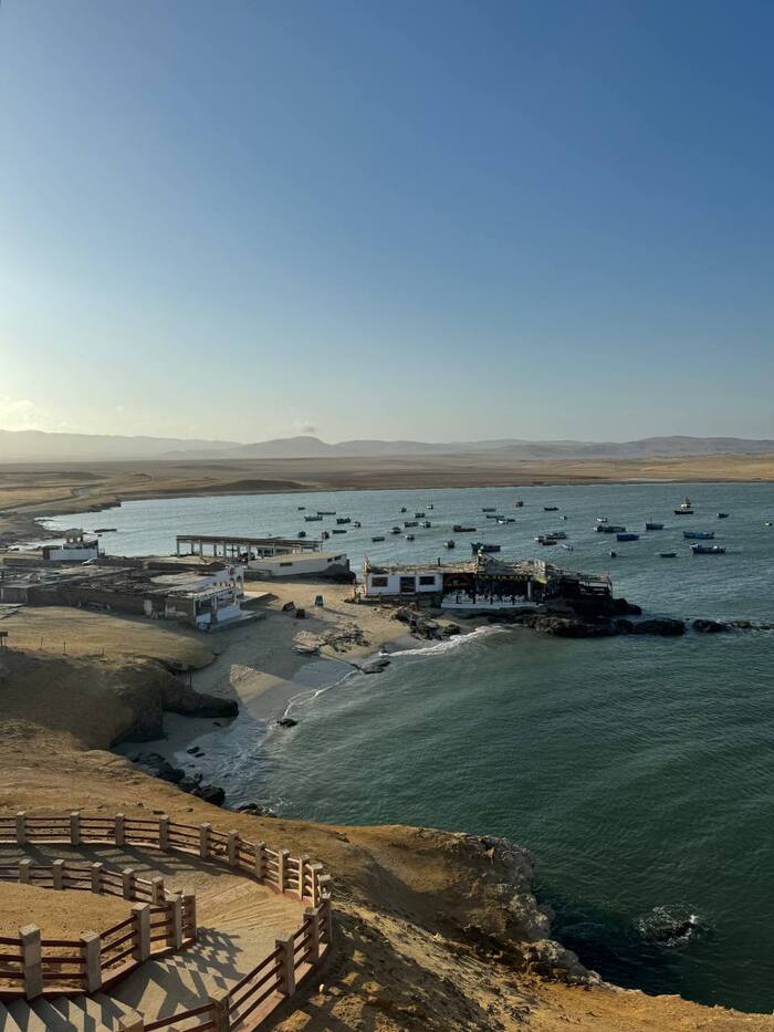 Reserva Nacional de Paracas /   