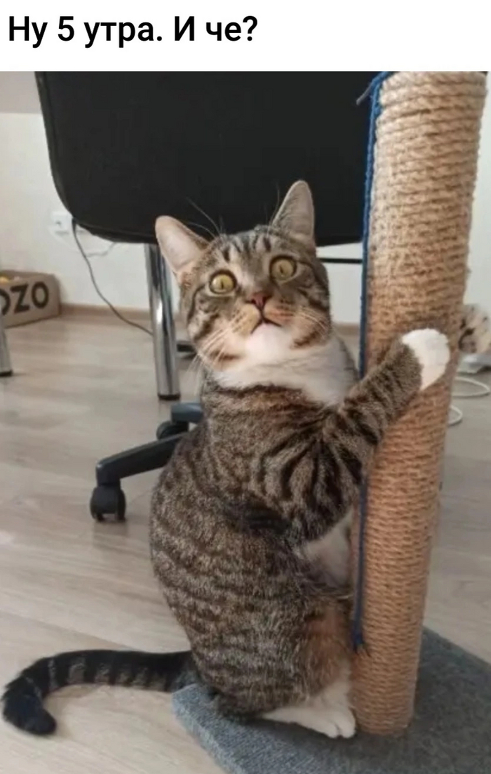  ! ,  ,  ,   