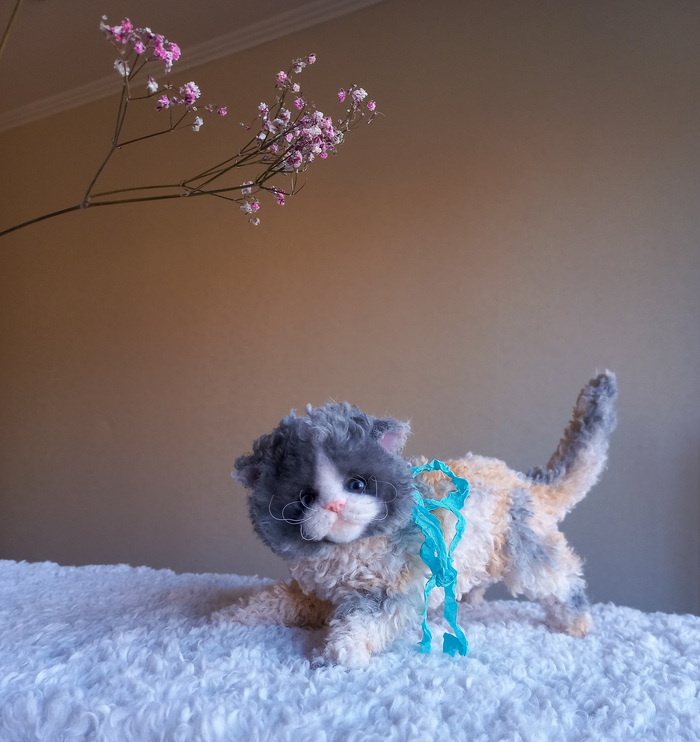 Милый кудрявый котенок. Этих котят называют овечками. Ведь у них очень нежная, кудрявая шубка🐈