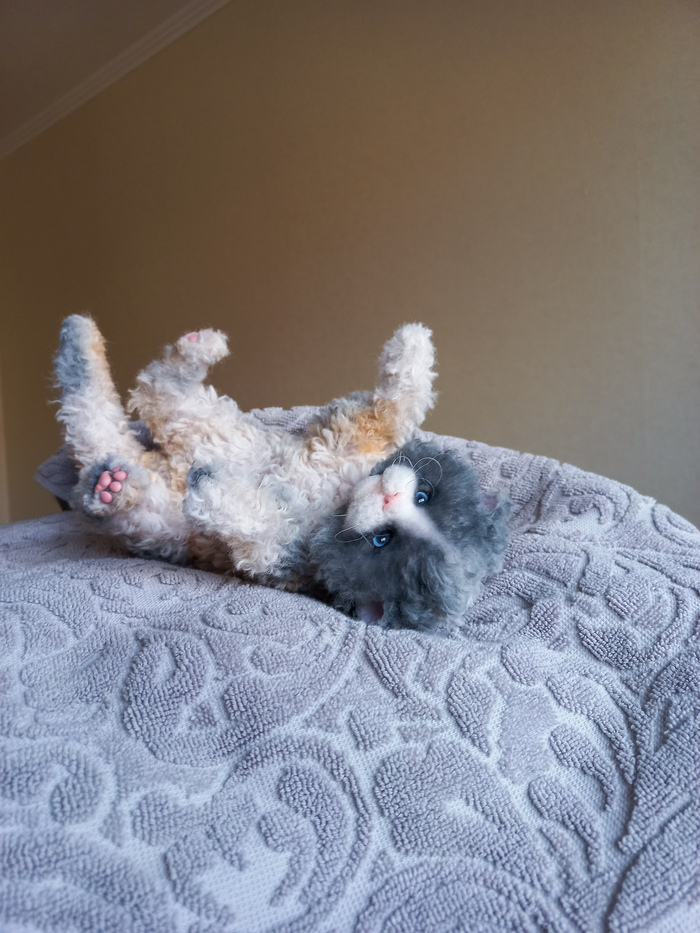 Реалистичный размер 3 месячного котенка🐾