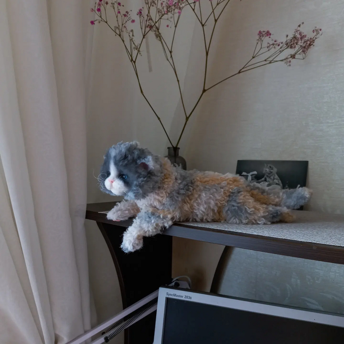 Котенок Селкирк рекс.