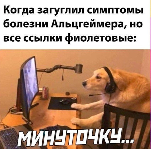 �������, ���� ���� ����������