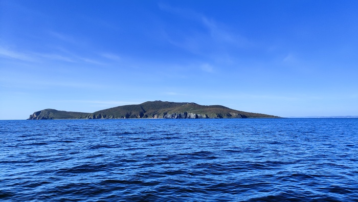 3 ���� ������ � ��� �� ������� ����������� ��������