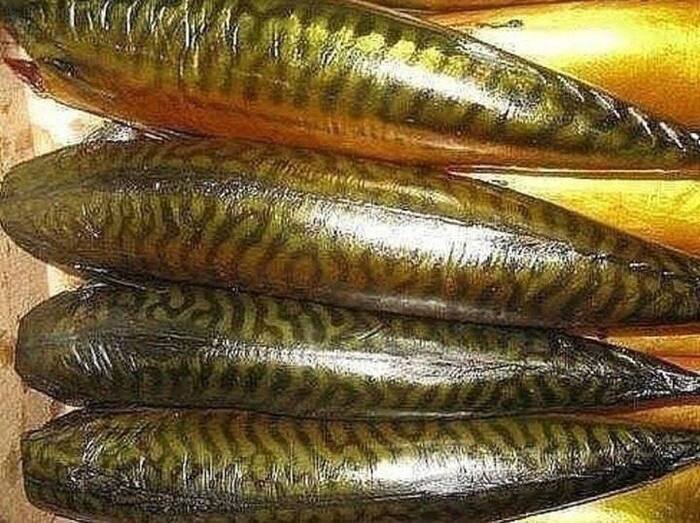 Соленая скумбрия