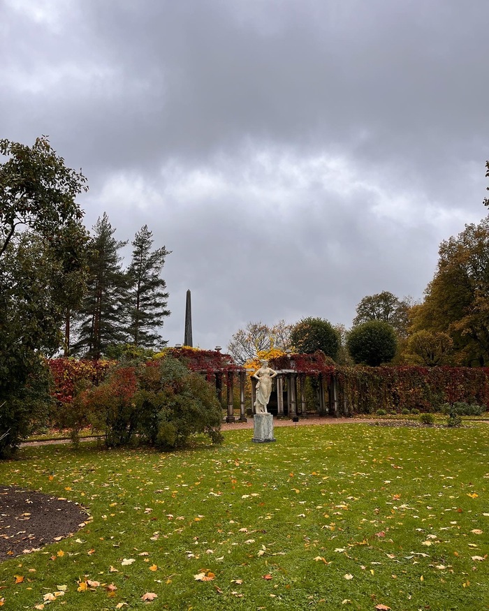 Осень в Царском селе Природа, Мобильная фотография, Екатерининский парк, Осень, Длиннопост