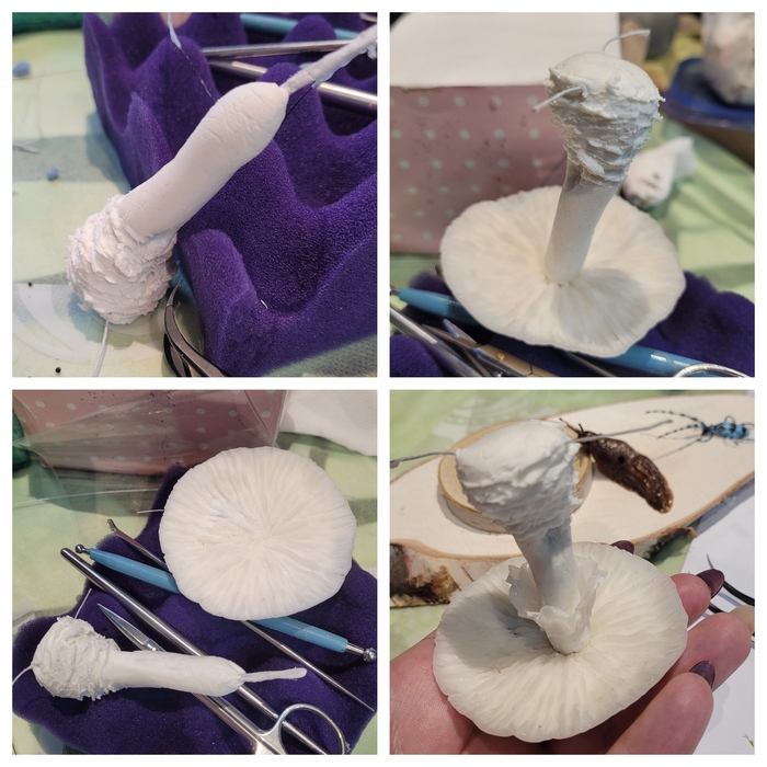 ����� ���� �������