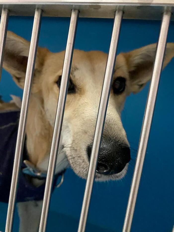 ������, ������� ��� ����������