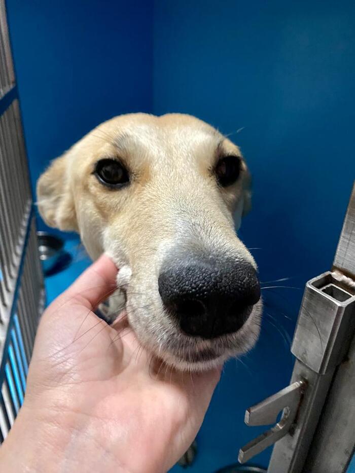 ������, ������� ��� ����������