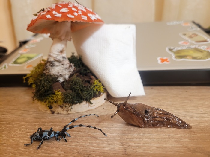 ������ ����