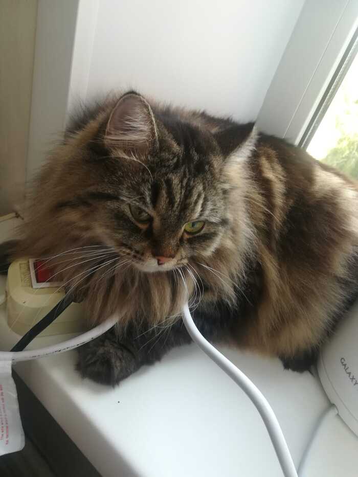 Ответ на пост «Рассветы и закаты»