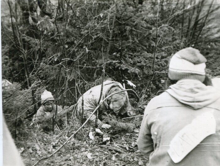 Пролезть под веткой не так уж и просто