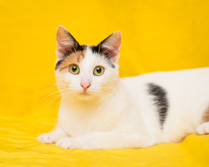 ��������� �����. �� ���� ��� ����� ������� ����