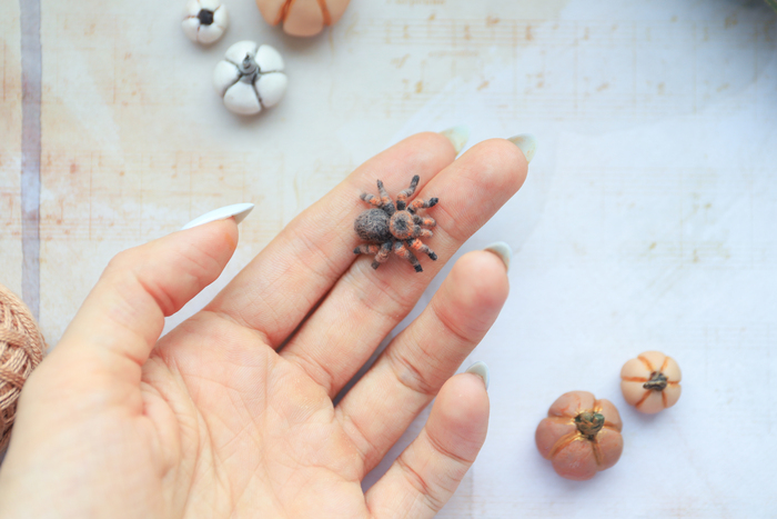 Бонус: для любителей пощекотать нервы - крошка тарантул!