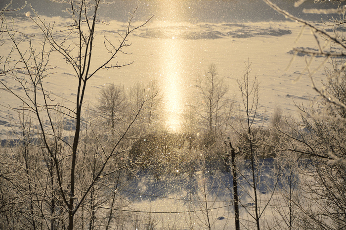 �������� ����