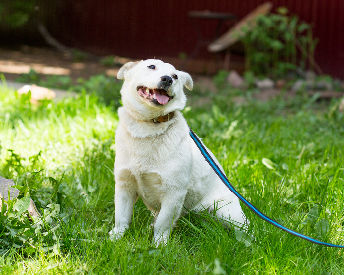 ���� ������ ��������� �����������)