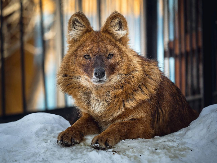         .          ,   .   !