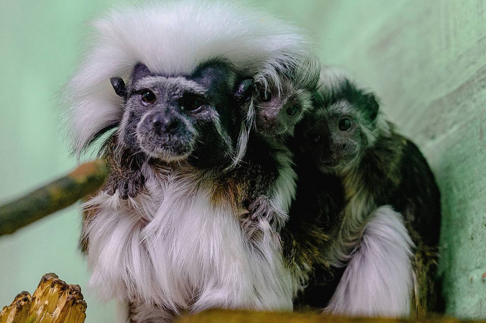  .   ,   ,  ,       ,     .      ,       ,     