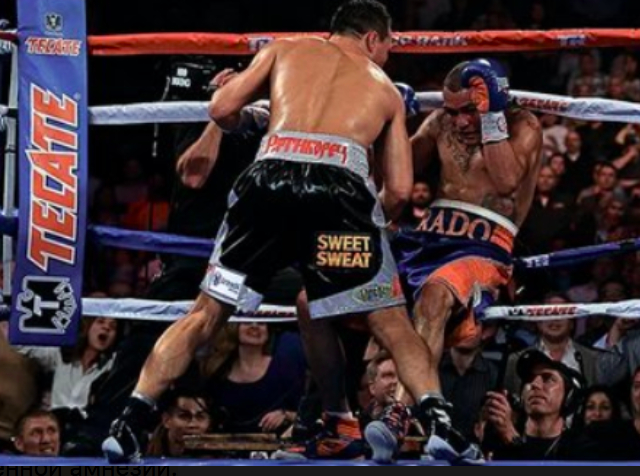 Фото: трансляция боя Проводников-Брэдли.