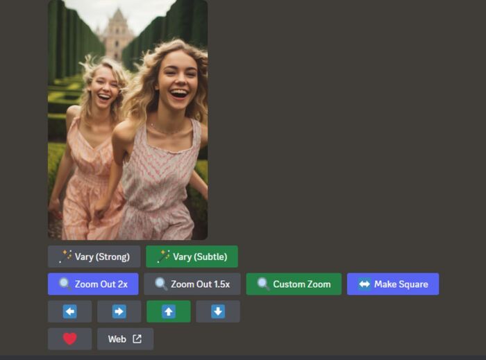 Vary / Zoom Out / Custom Zoom / Make Square / Pan