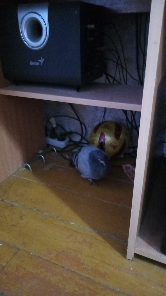 ���� ����� � ����� ���������