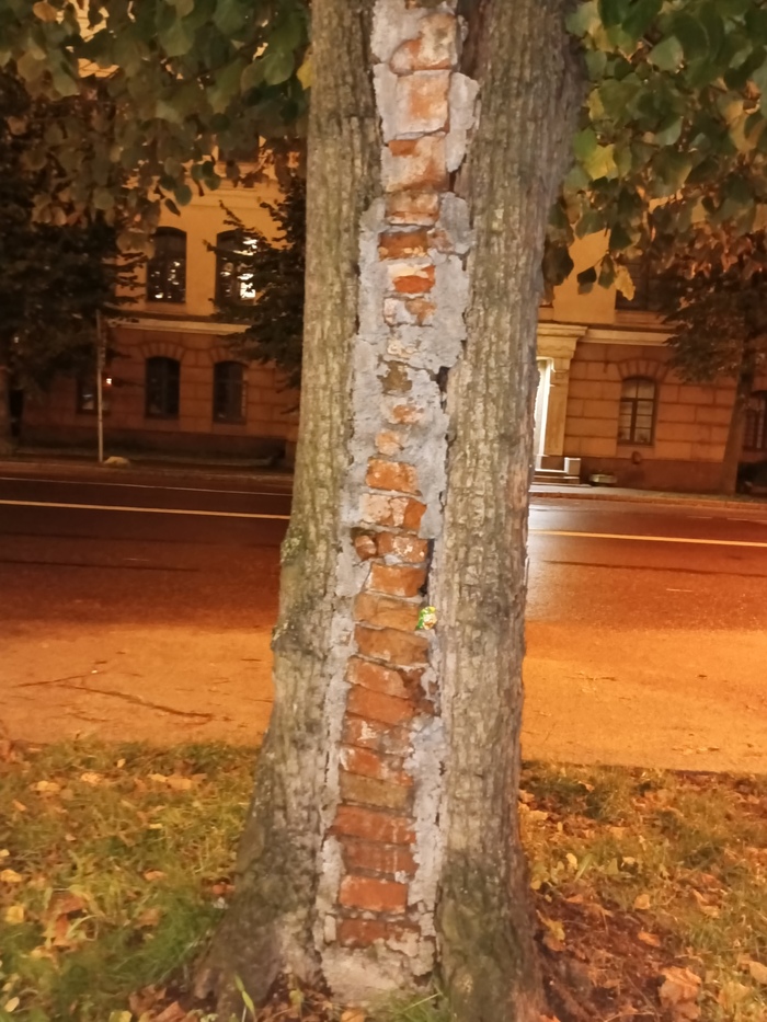 ��� ���� �� ��� ����� ����� ������ ����