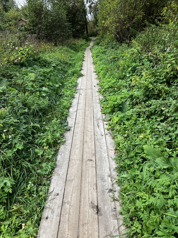 Эстетика северных... городов. г. Луза