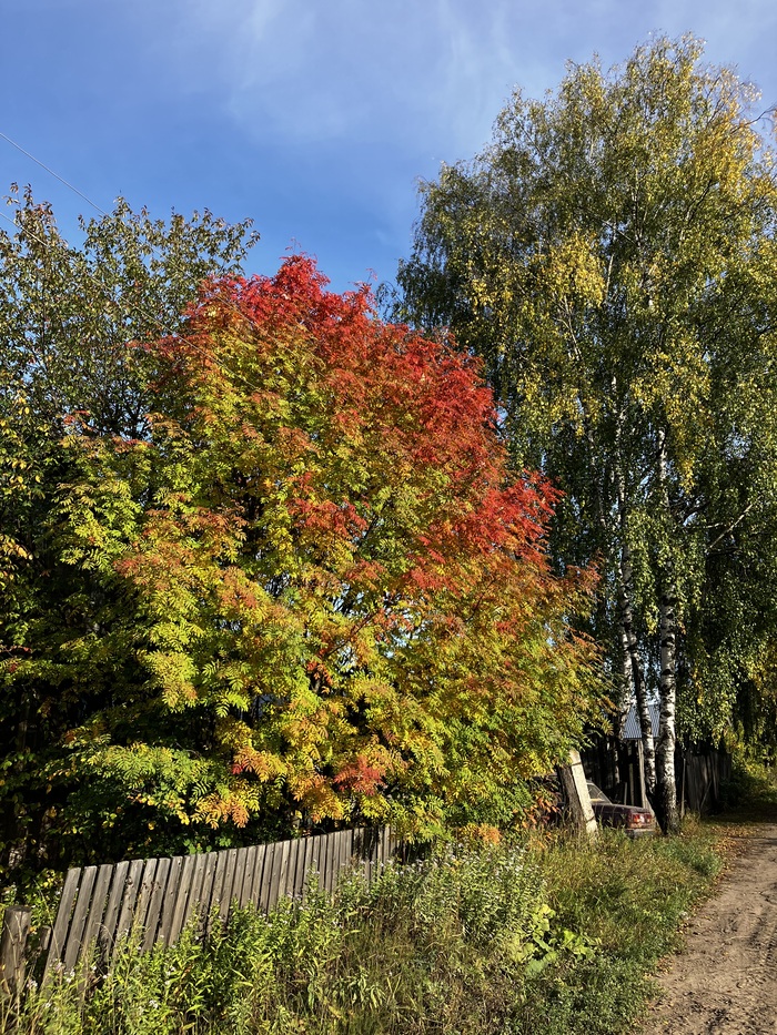 Эстетика северных... городов. г. Луза