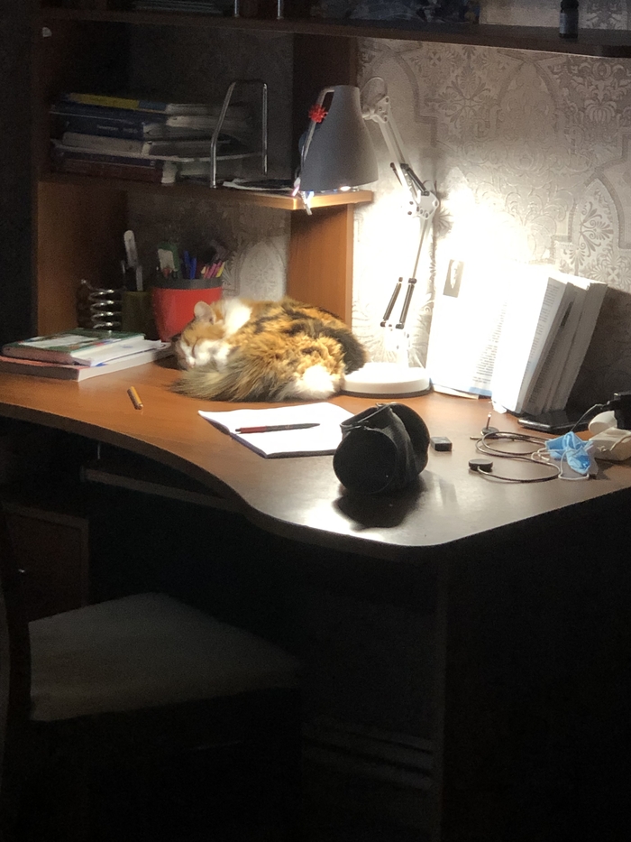 ���������, ����������?