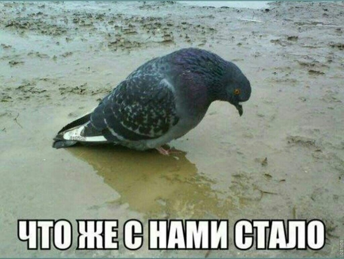 ����� �� ���� ��������� ����������